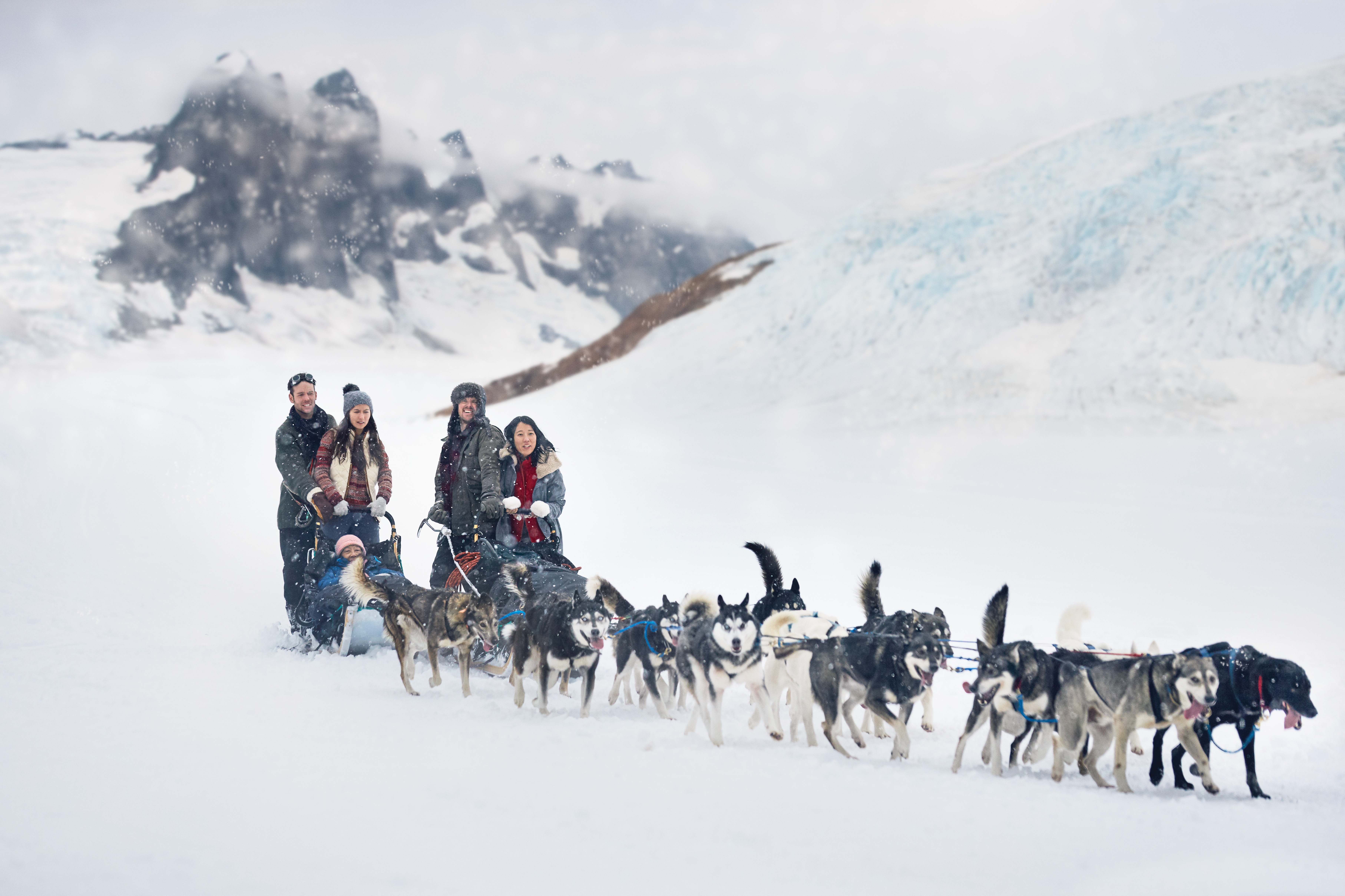 Glacier Dog Sledding